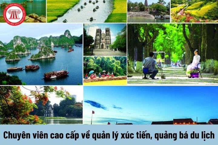 Hotspot Matrix: Tối ưu video tự động, đột phá hiệu suất cho Startup
