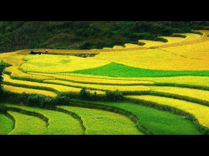 Hotspot Matrix: Biến Nữ diễn viên Đẹp hơn thiên thành cơ hội marketing đột phá