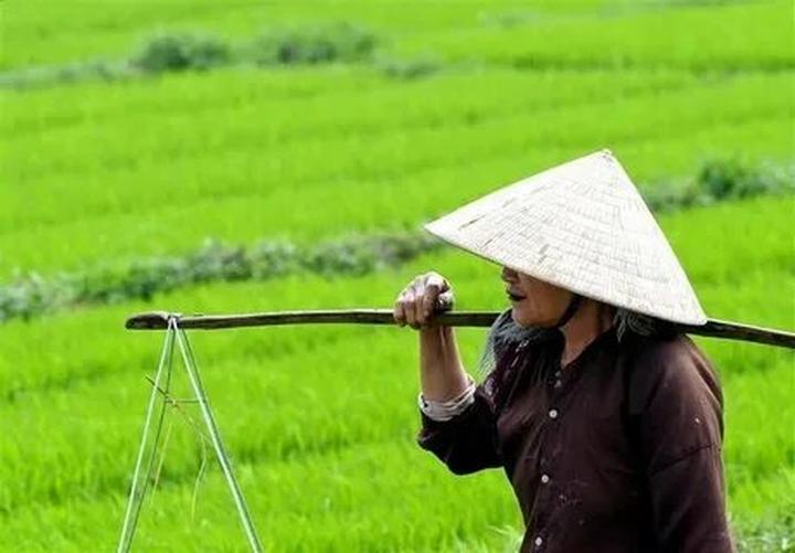 Xu hướng Giật mình ngã nhào khi gặp xe: Hotspot Matrix tiết lộ bí quyết video viral