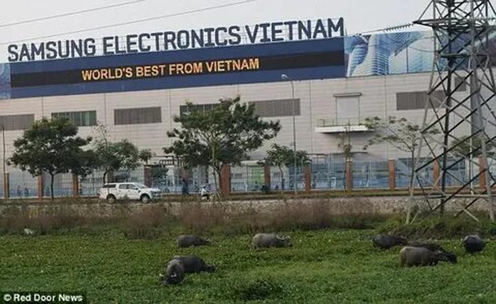 Bán Bảo Hiểm Thông Minh: Thu Hút Khách Hàng Qua Video Tư Vấn Trên Hotspot Matrix