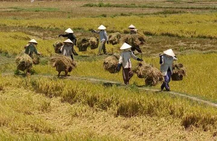 Xu hướng Ngoài BTV Trần Quang Minh,: Hotspot Matrix tiết lộ bí quyết video viral